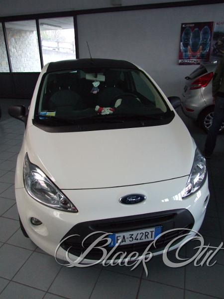 DSCF6509.JPG
