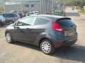 Fiesta5